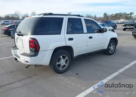 2008 Chevrolet Trailblazer Fleet из США, поврежденный, VIN 1GNDT13SX82119970